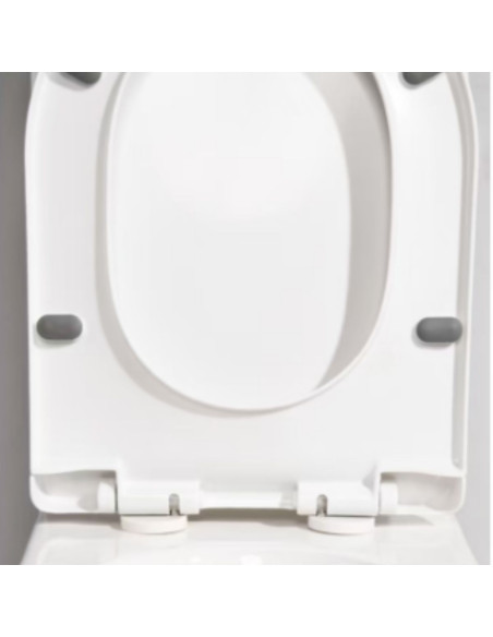 Inodoro Largo con Asiento y Deposito Mochila Tapa Suave Blanco